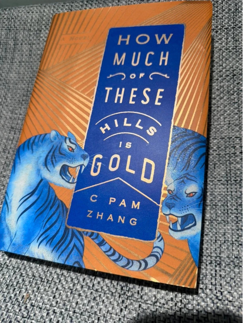 How Much of These Hills Is Gold C Pam Zhang Hardcover 1st Edition First Printing